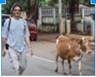 my icon - me and a cow in Goa