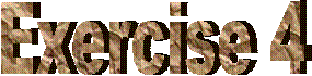 Exercise 4