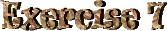 Exercise 7