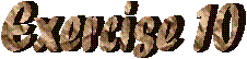 Exercise 10