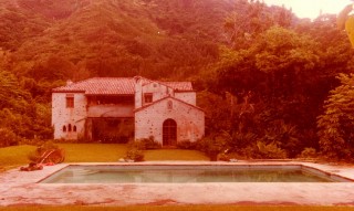 Our rain forest home in Hawaii Our rain forest home in Hawaii