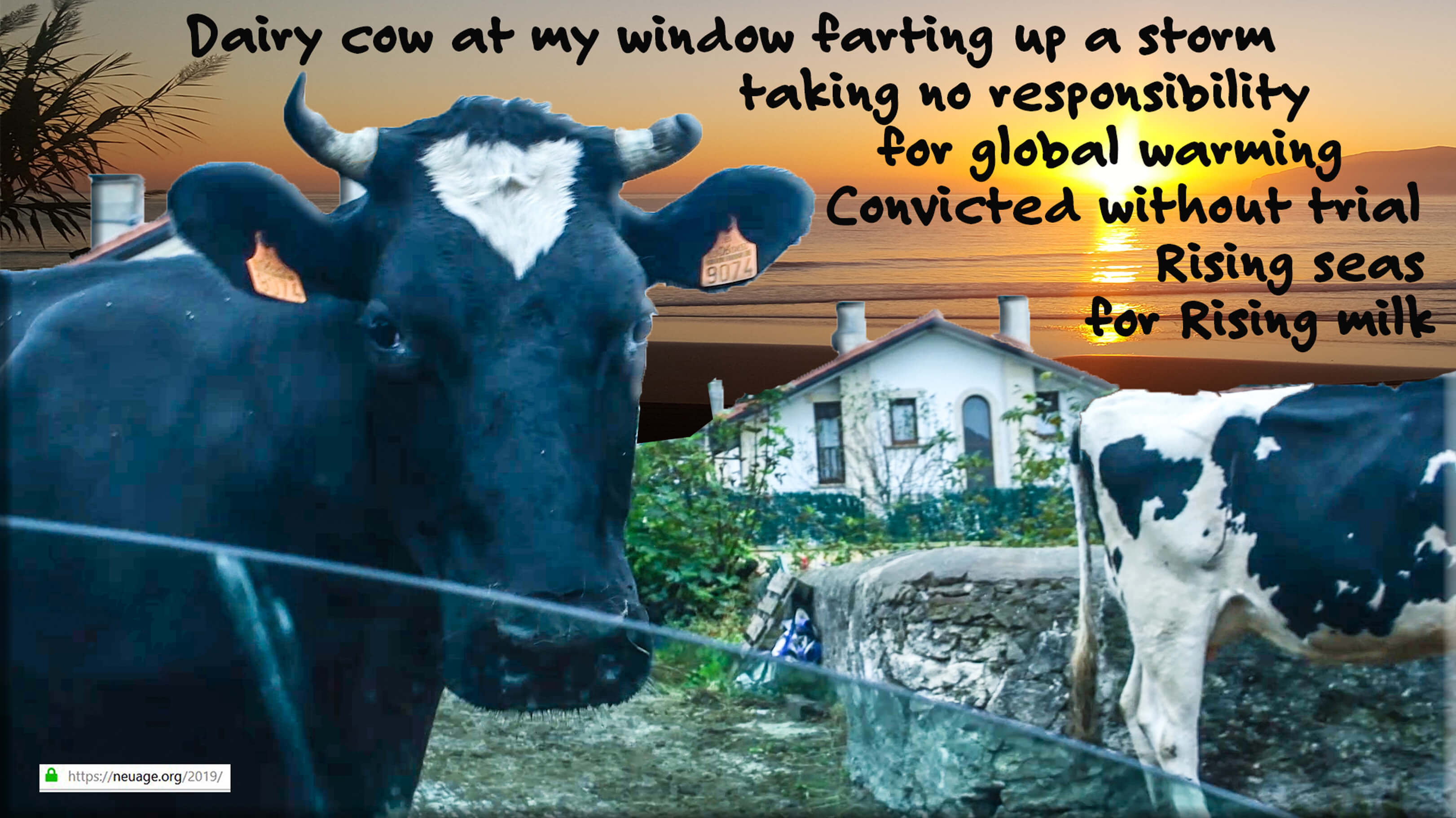 Dairy cow at my window 
farting up a storm 
taking no responsibility for global warming 
Convicted without trial
Rising seas for rising milk