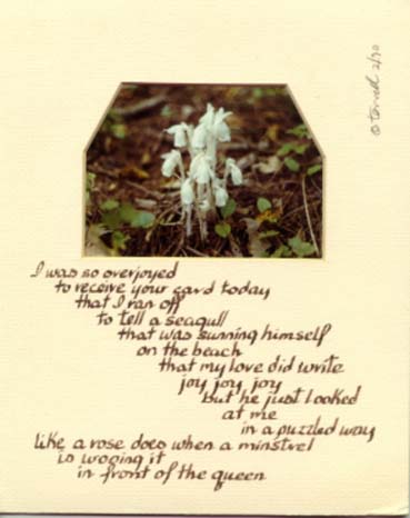 picture poems by Terrell Neuage