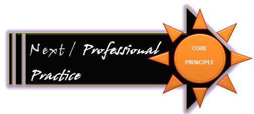 Next Professional Practice A Core Principle