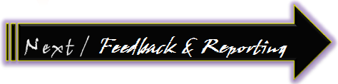 NEXT Feedback and Reporting